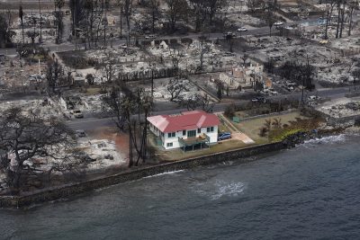 Their House Survived The Maui Fires Untouched. Here’s What Happened Next