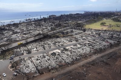 Do Maui Wildfire Lawyers Deserve $1 Billion In Fees?