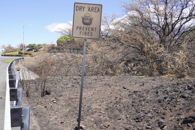 Invasive Species Are Radically Altering Hawaii’s Ecology