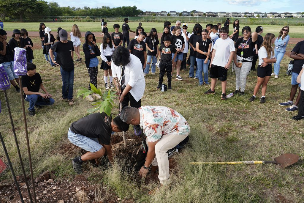 Ewa Makai Middle School seventh graders plant one of four trees Wednesday, Nov. 22, 2023, in Ewa Beach. The Trees for School Initiative tree planting event helps the farm to school initiatives in Hawaii. (Kevin Fujii/Civil Beat/2023)