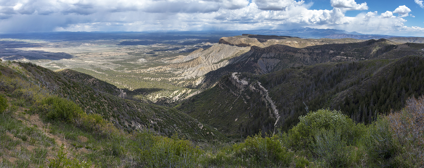 Hills and valleys covered with trees. 