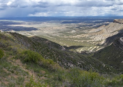 hills and valleys covered with trees