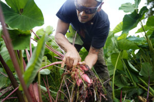 Hawai‘i Needs To Get More Serious About Food Security