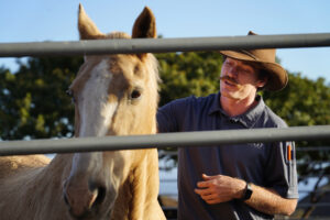 Maui Fire Survivors Are Finding Solace In Horse Therapy