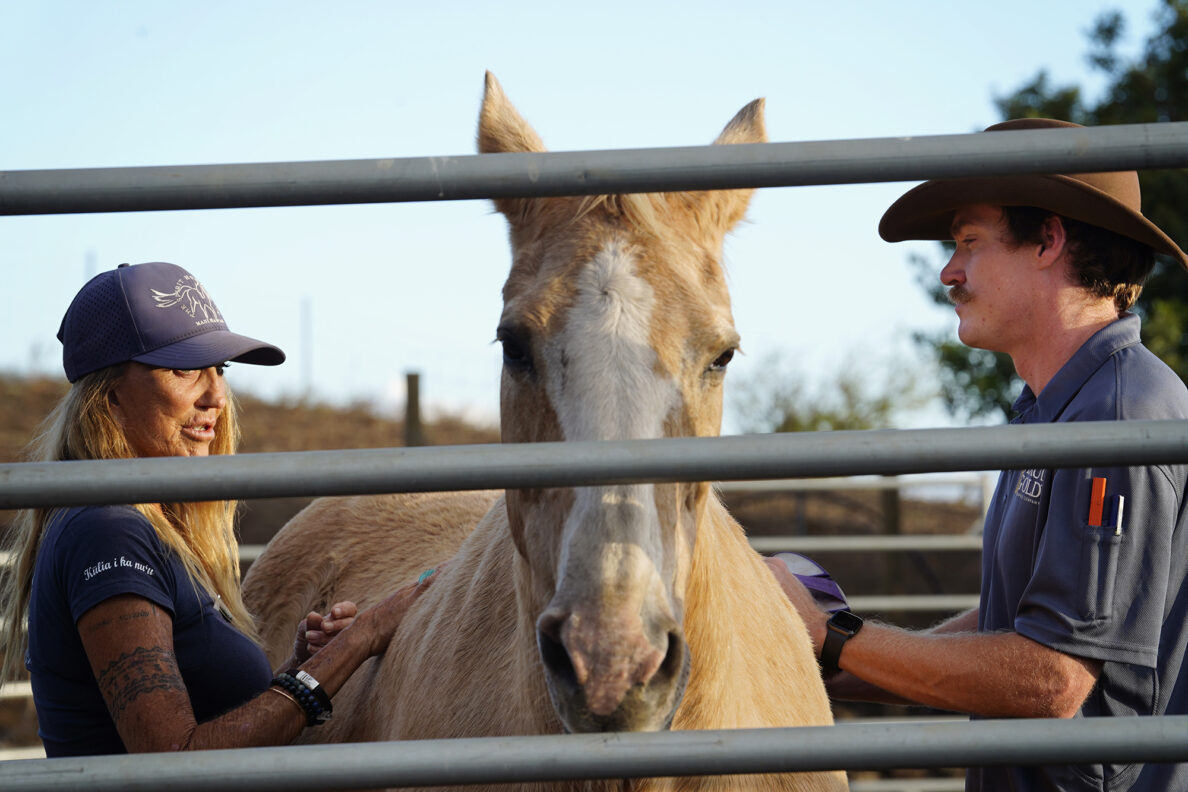 Paige Deponte Director Kulia I Ka Nu'u Spirit Horse Ranch, Sugar and Garrett Higgins work together during Higgins’ equine-therapy session Friday, Nov. 8, 2024, in Kula. (Kevin Fujii/Civil Beat/2024)