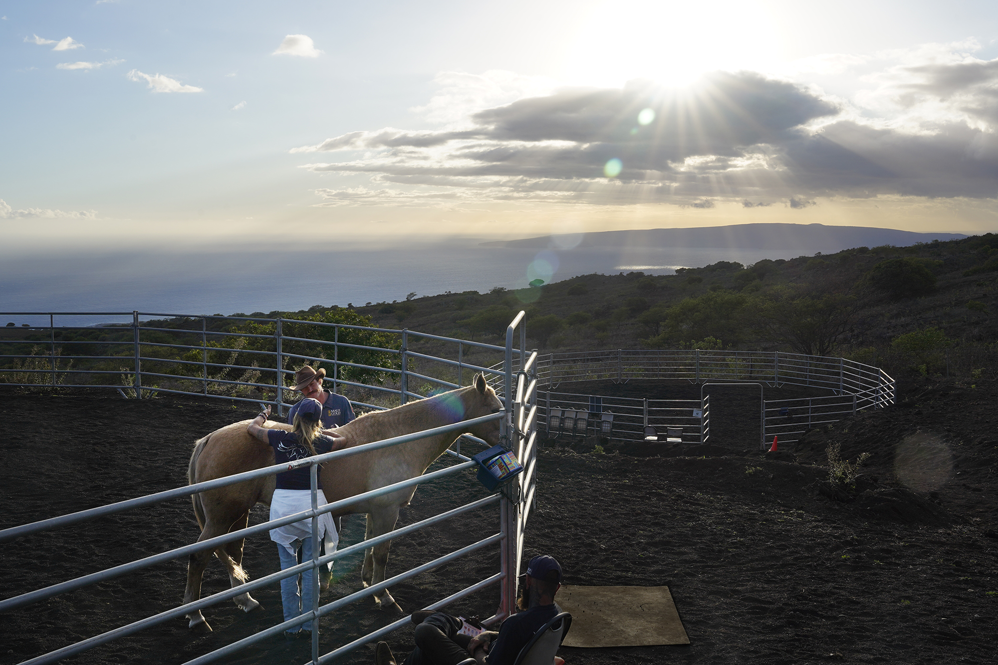 The sun begins to fall toward the horizon as Sugar stands between Garrett Higgins and Paige Deponte Director Kulia I Ka Nu'u Spirit Horse Ranch during an equine-therapy session Friday, Nov. 8, 2024, in Kula. (Kevin Fujii/Civil Beat/2024)