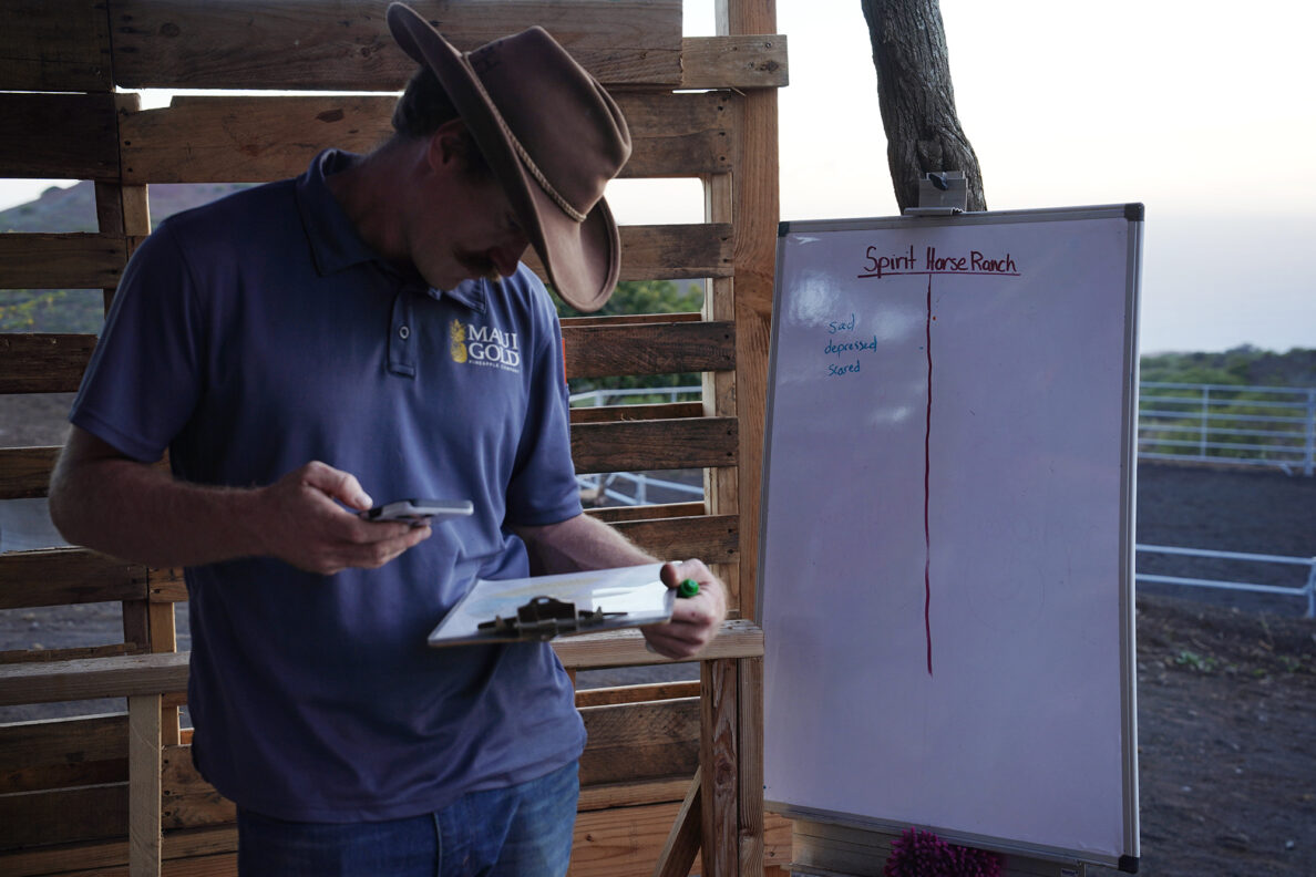 Garrett Higgins wraps up his equine-therapy session at Spirit Horse Ranch Friday, Nov. 8, 2024, in Kula. (Kevin Fujii/Civil Beat/2024)