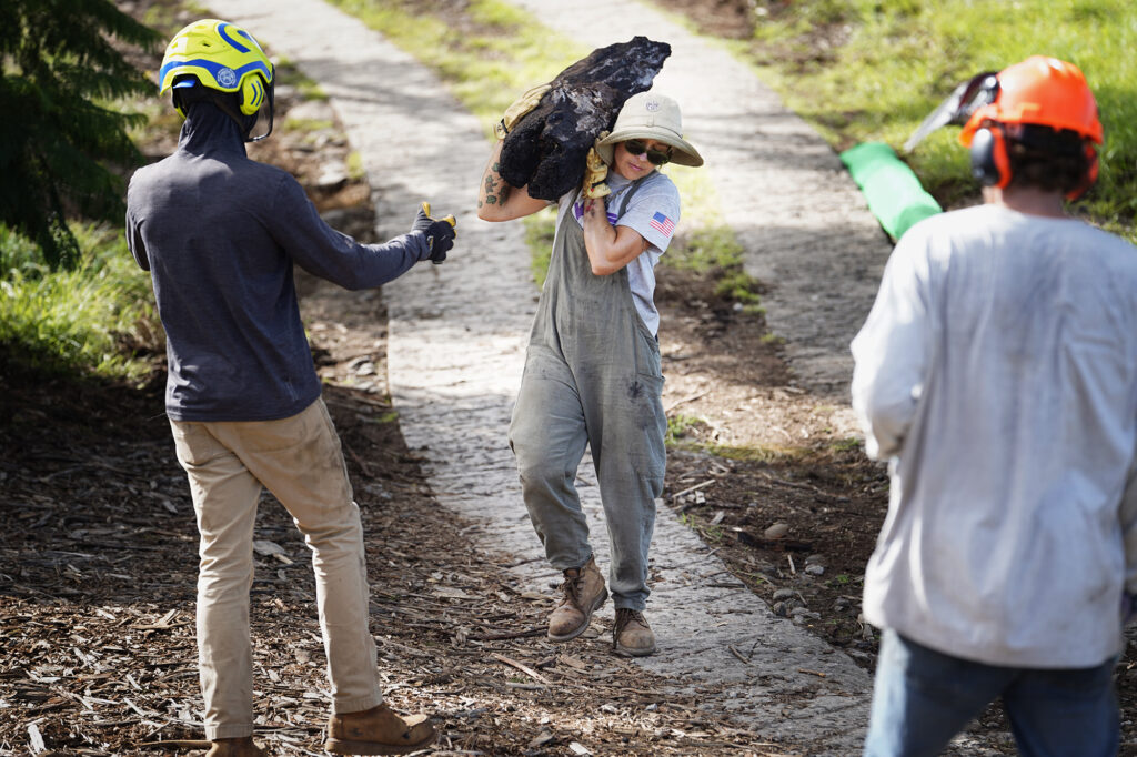 Iwa Maui wood chipper Tony Barwick, left, reaches out to take a charred tree trunk from All Hands and Hearts volunteer Celine Cripps of South Africa as the recovery efforts in Maui’s Upcountry continue Friday, Nov. 8, 2024, in Kula. This mostly residential, non-tourist area was hit with a fire the same day as Lahaina on Aug. 8, 2023. Mālama Kula Executive Director Kyle Ellison looks on from the right. (Kevin Fujii/Civil Beat/2024)