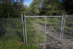 Kirstin Downey: Honolulu Historic Preservation Efforts Are Getting A Boost