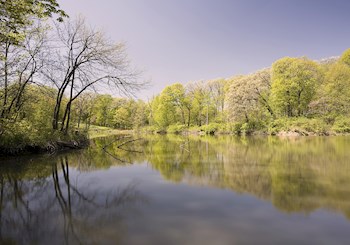 History Lesson: Arboretum in Illinois is a living museum