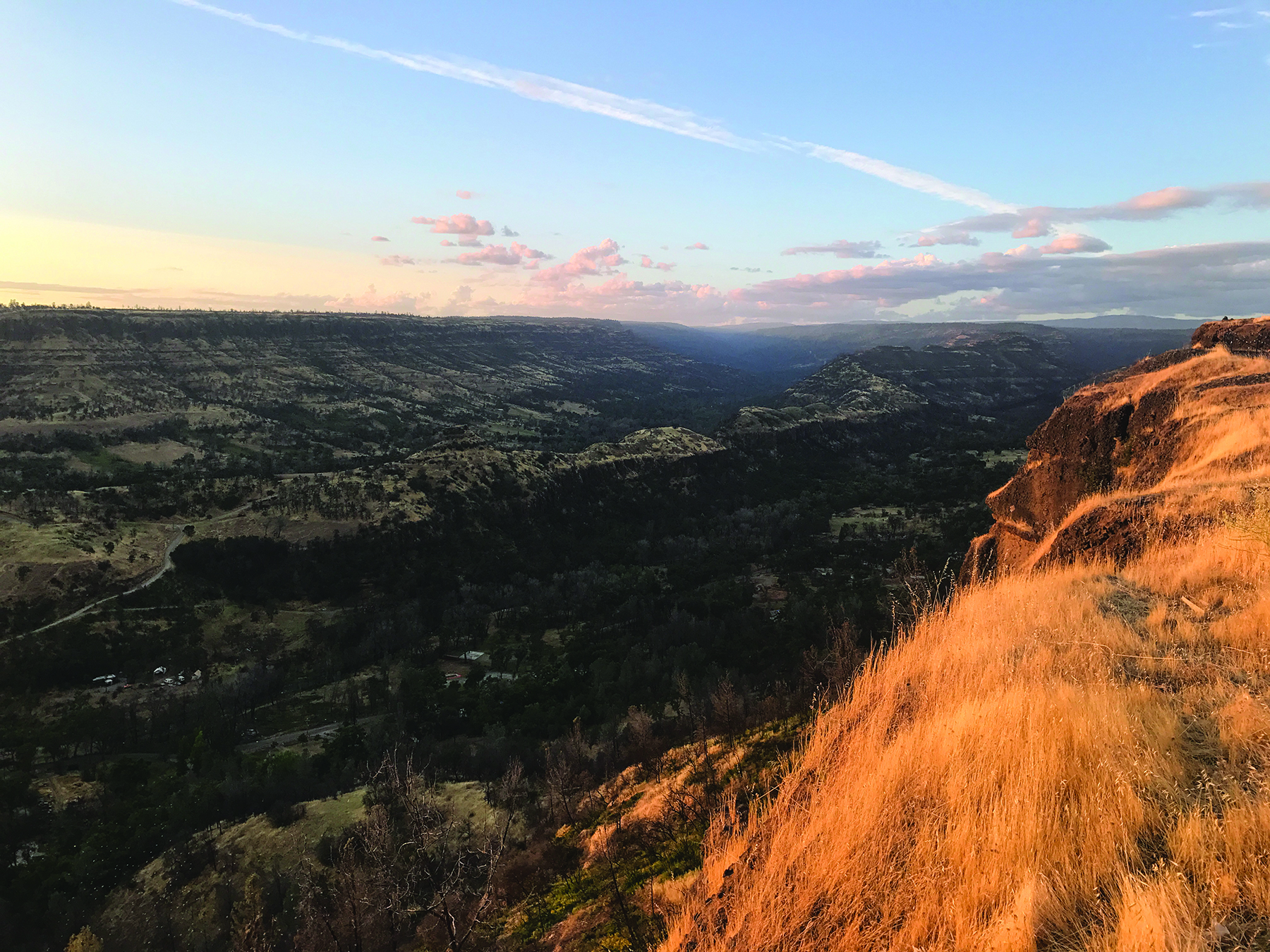 hillside burnt by a wildfire