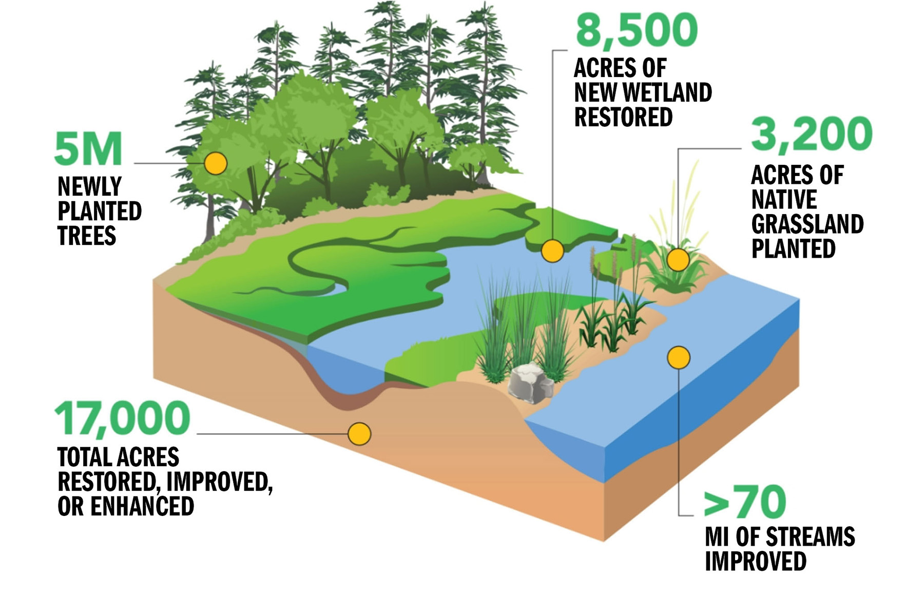 drawing showing the plantings surrounding a stream