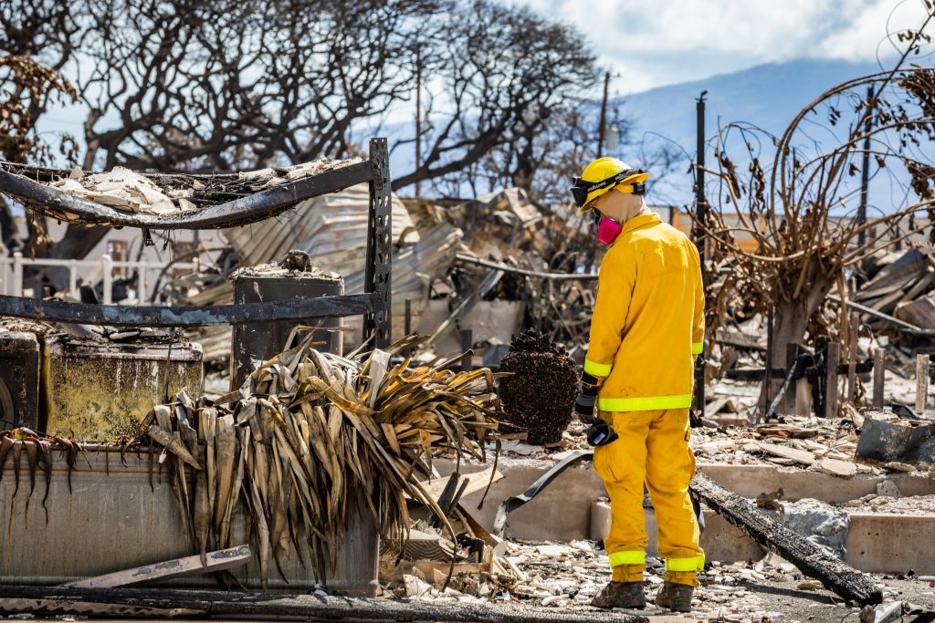 Combined Joint Task Force 50 (CJTF-50) search, rescue and recovery elements conduct search operations of areas damaged by wildfires in Lahaina, Maui, Aug. 15, 2023. Members of CJTF-50 from the Hawaii Army and Air National Guard, U.S. Army Active Duty and Reserve are actively supporting Maui County authorities to provide immediate security, safety, and well-being to those affected by the wildfires to ensure unwavering support for the community of Maui and first responders. (U.S. Army National Guard photo by Staff Sgt. Matthew A. Foster)