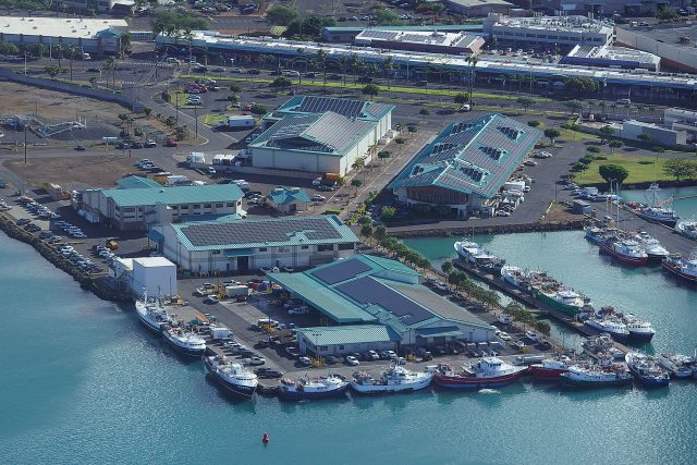 Aerial view of Pier 38 and fishing boats. Honolulu Harbor.