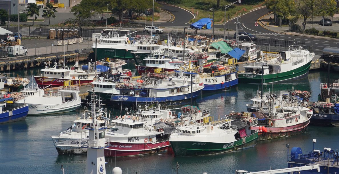 Fishing boats Honolulu harbor.