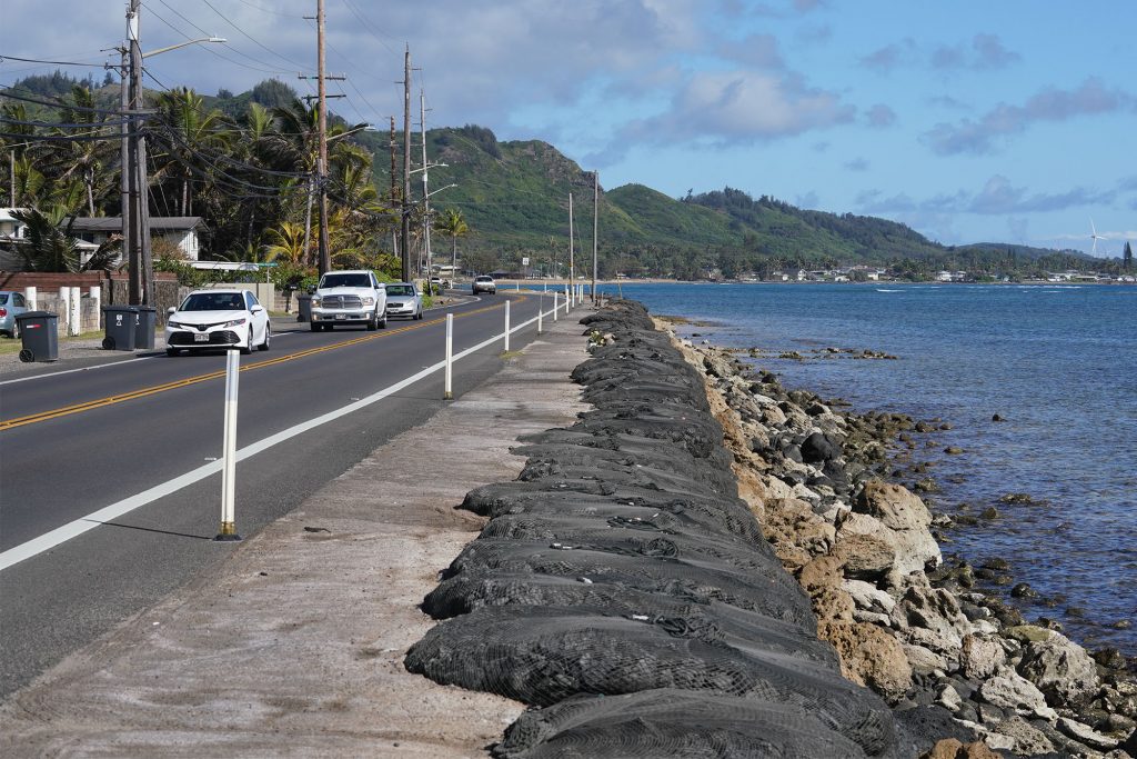 Hoʻopili Kekahi Alahele Kapakai I Kēia Mau Mea Maʻi I Ka Hoʻomaʻemaʻe Koko ʻIa ʻAna. Hiki I Ka Hoʻohuli Aniau Ke Hoʻopilikia I Kēlā