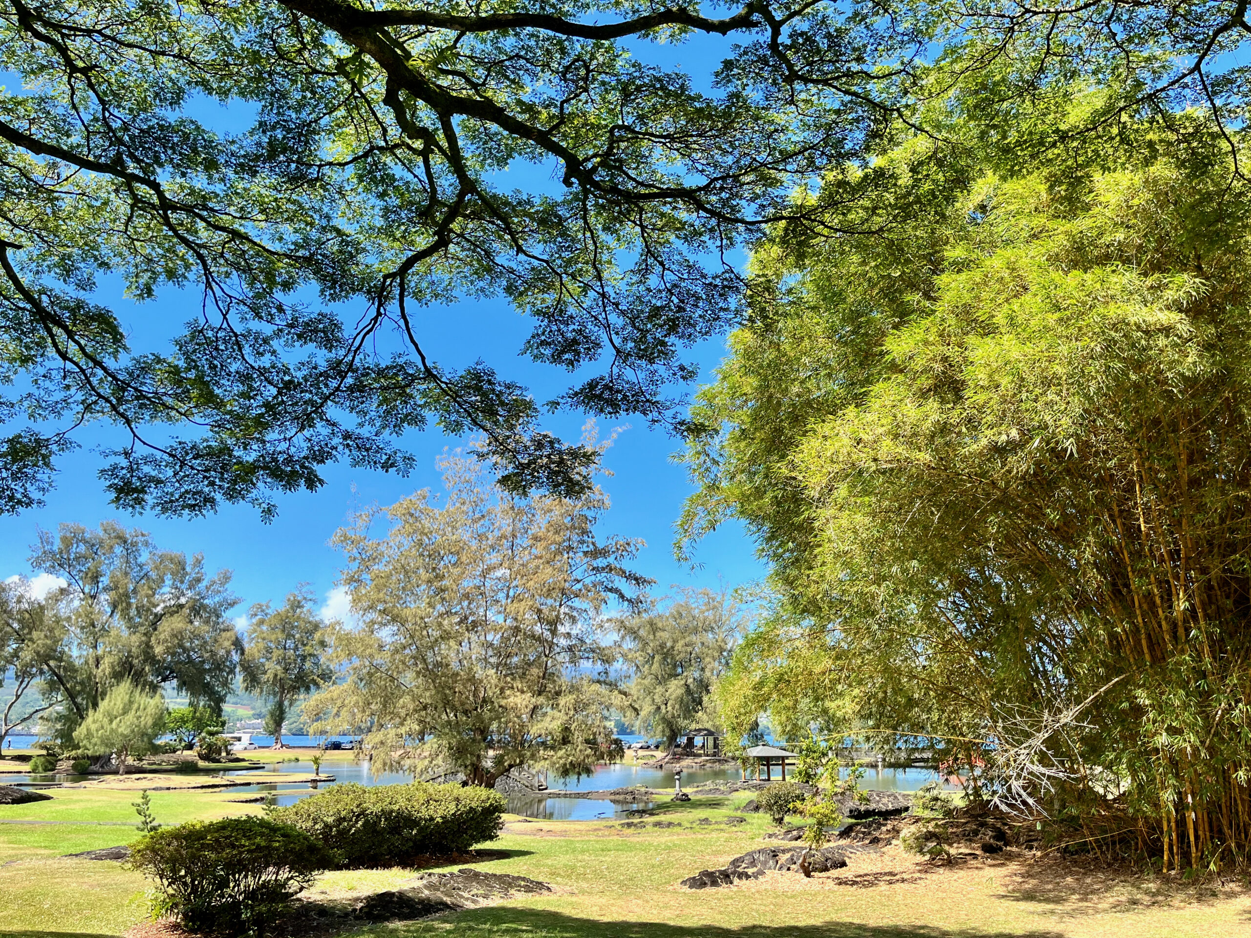 Liliuokalani Park is a 24-acre Japanese-style garden next to Hilo Bay. (Naka Nathaniel/Civil Beat/2024)