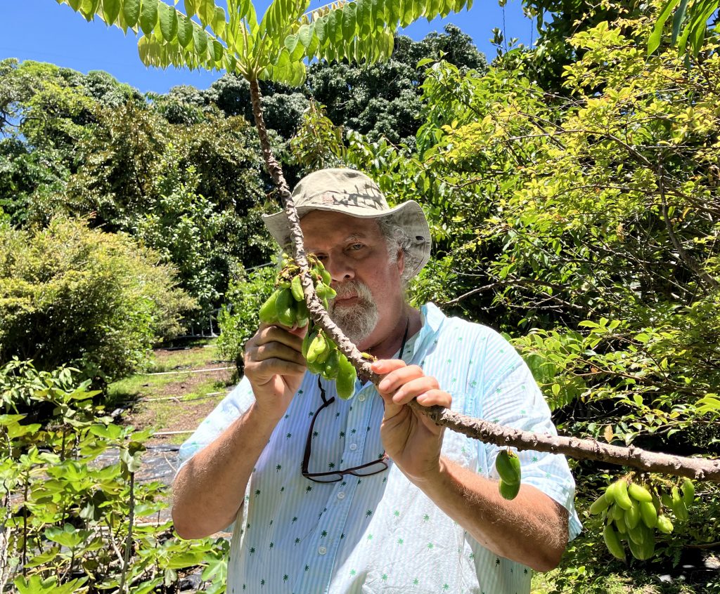 Ken Love at his farm on the Big Island.