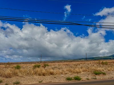 FEMA Is Developing A ‘Last Resort’ Plan To House Maui Fire Survivors In Kaanapali