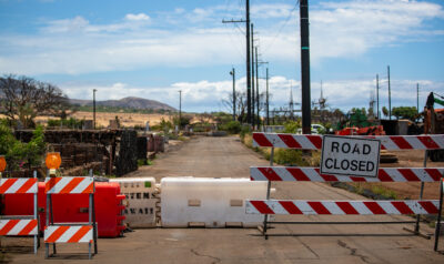 The Lahaina Burn Zone Is Coming Back To Life. How To Keep It Safe Is A Work In Progress