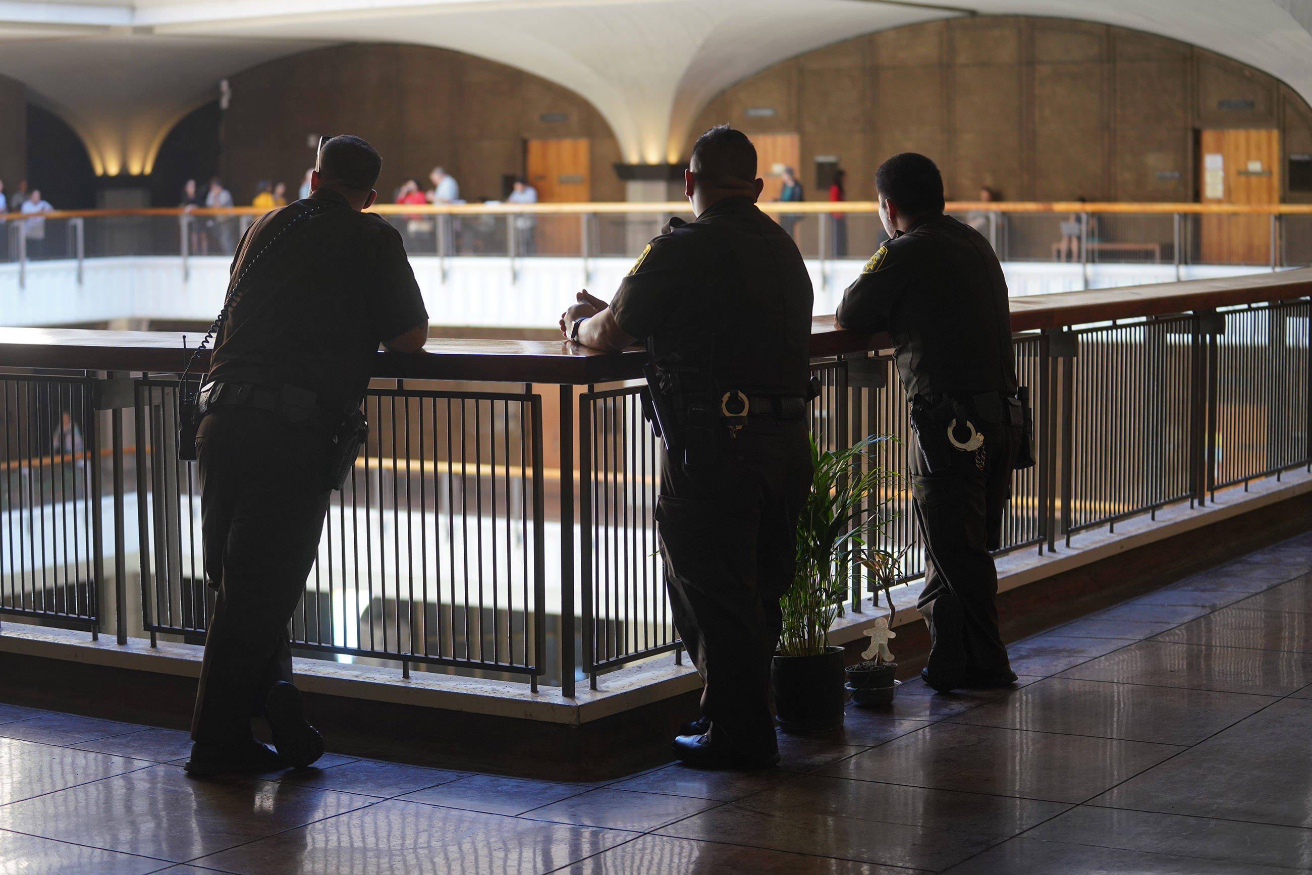 Public Safety Sheriff at the Capitol.