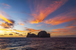 Next President Will Shape The Future Of America’s Largest Marine Monument