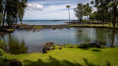 Ke Hoʻōla Hou ʻIa Nei Nā Loko Iʻa I Loko Nō O Ka Piʻi ʻIlikai A Me Nā Lāhulu Haole