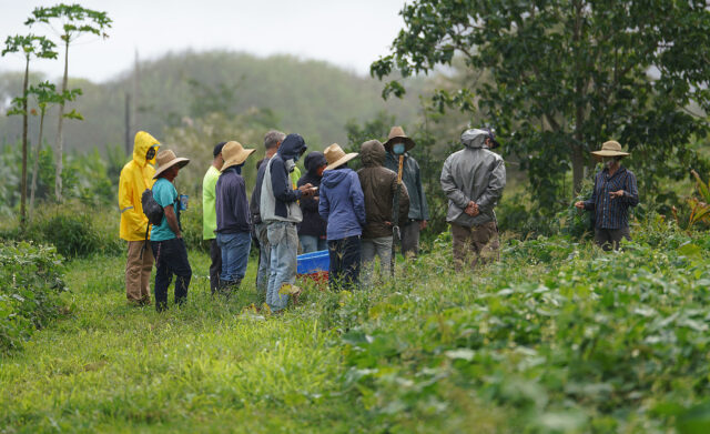 Students gather around the UH Waimanalo Farm instructor in a lesson held in the field.