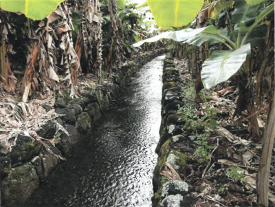 Hawaii’s Water Irrigation Systems Are Priority Infrastructure